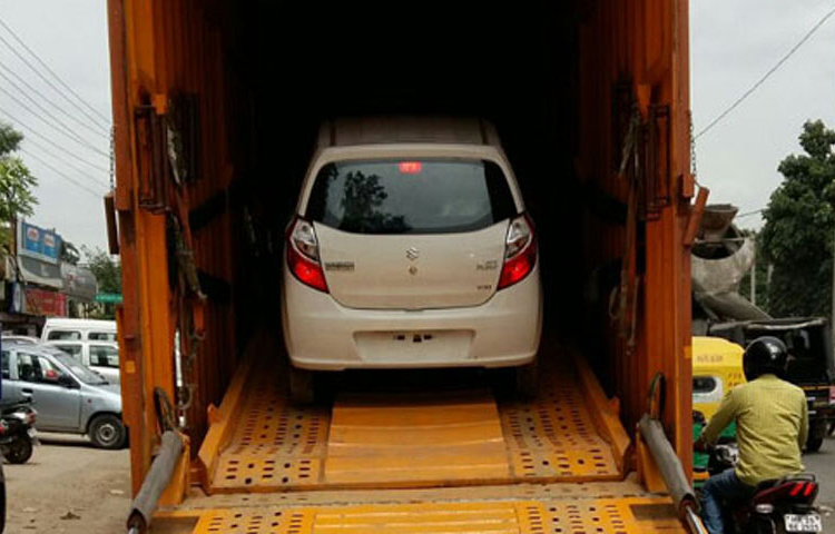Leo Packers Cargo Movers