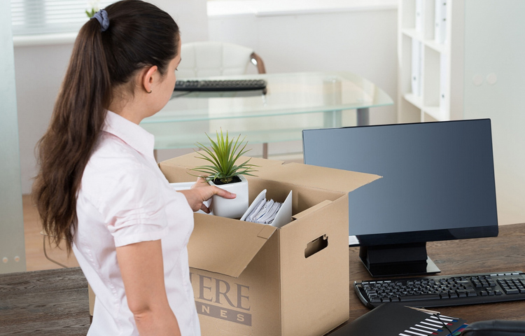 Leo Packers Cargo Movers