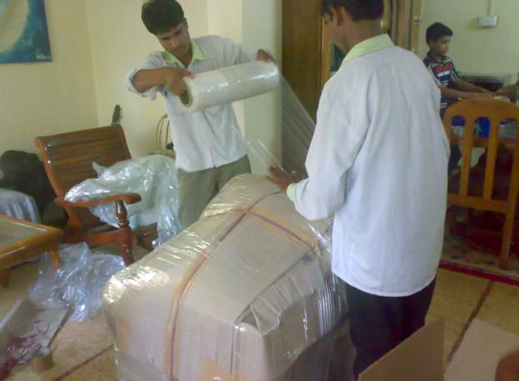 Leo Packers Cargo Movers